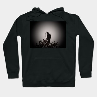 Crow silhouette Hoodie